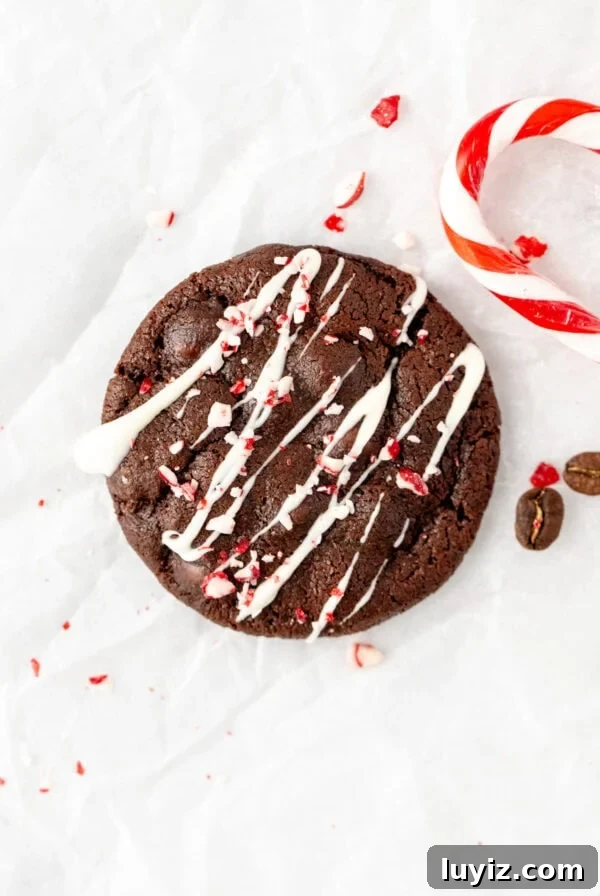Double Chocolate Peppermint Cookies Recipe for Holiday Baking 8 Peppermint mocha cookie, drizzled with shite chocolate and sprinkled with crushed candy canes