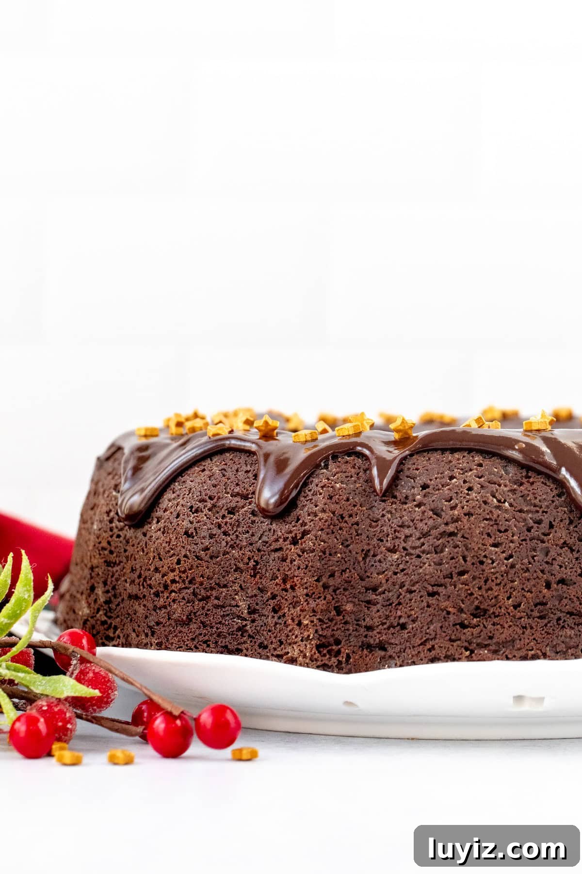Gingerbread Chocolate Cake with Warm Spices and Molasses Glaze 2 chocolate gingerbread bundt cake topped with chocolate ganache