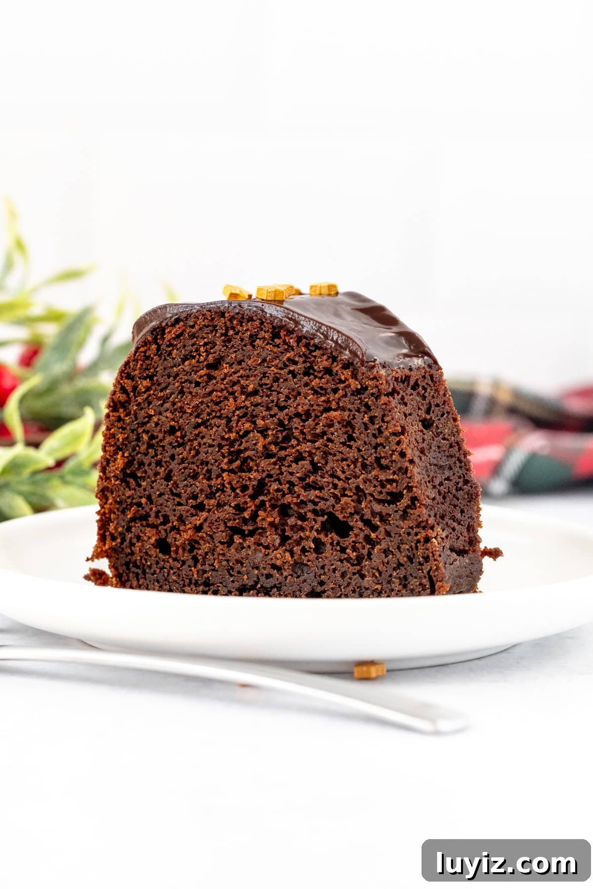 Gingerbread Chocolate Cake with Warm Spices and Molasses Glaze 3 Slice of chocolate gingerbread bundt cake