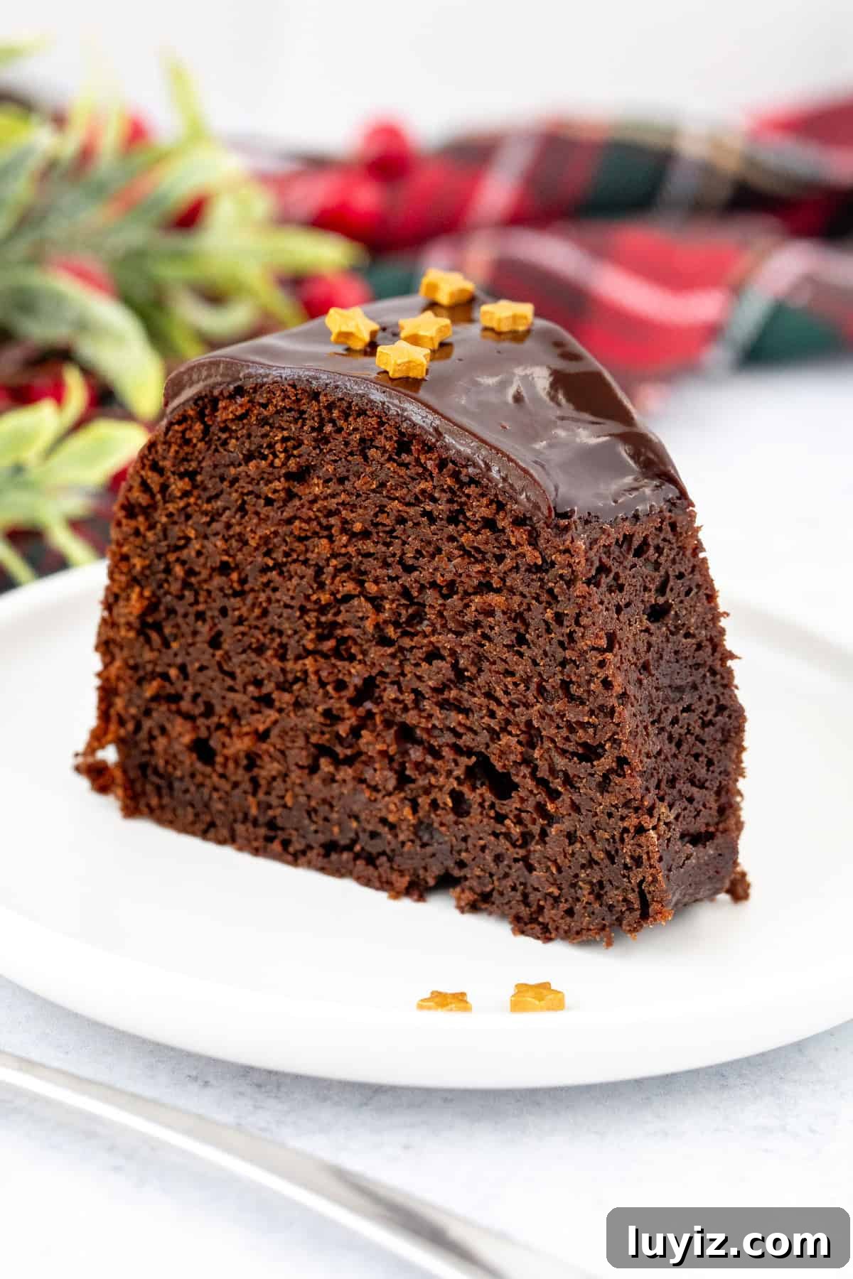 Gingerbread Chocolate Cake with Warm Spices and Molasses Glaze 4 Slice of gingerbread chocolate cake