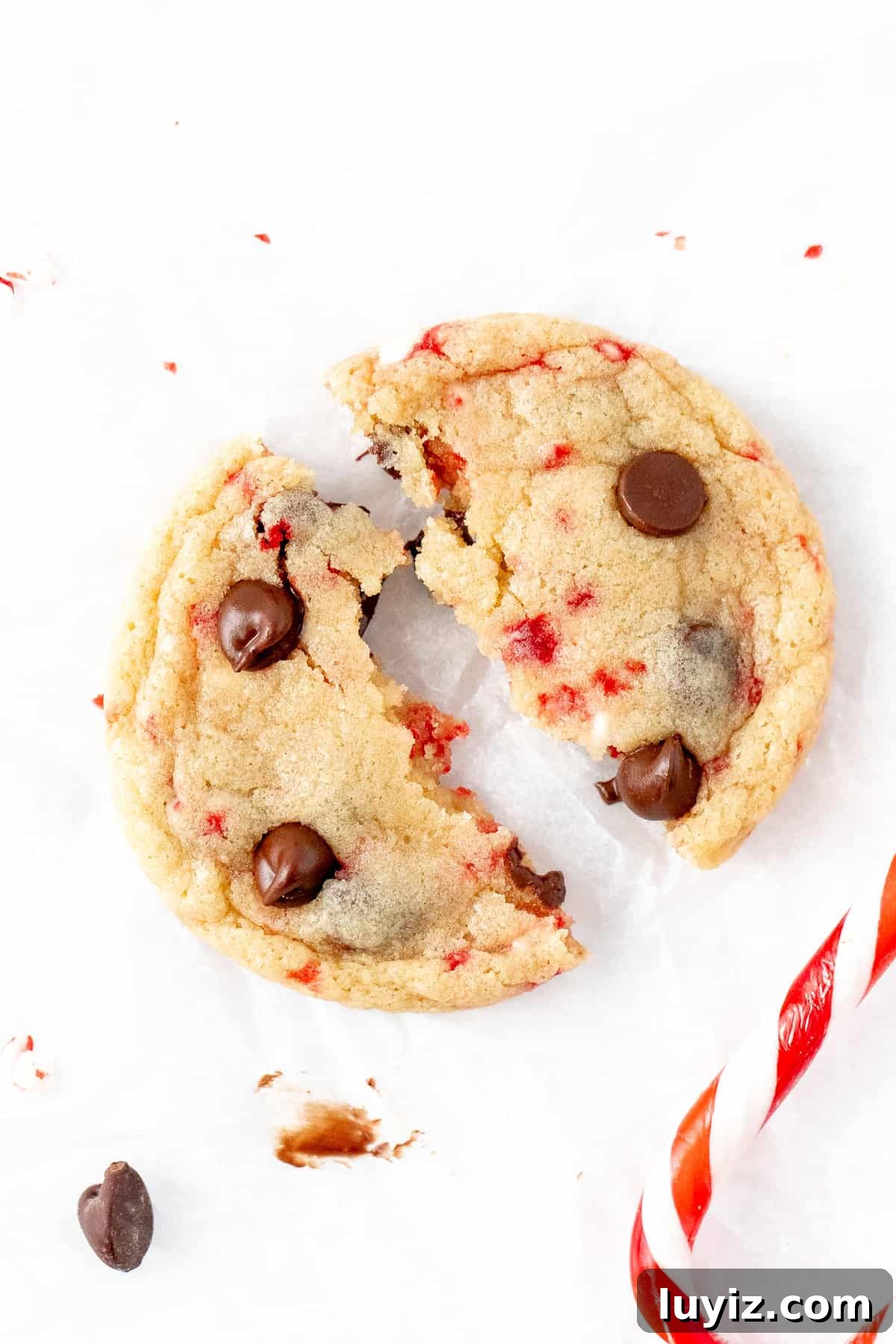 Candy Cane Chocolate Chip Cookies Recipe for Festive Holidays 3 Peppermint chocolate chip cookie, broken in half
