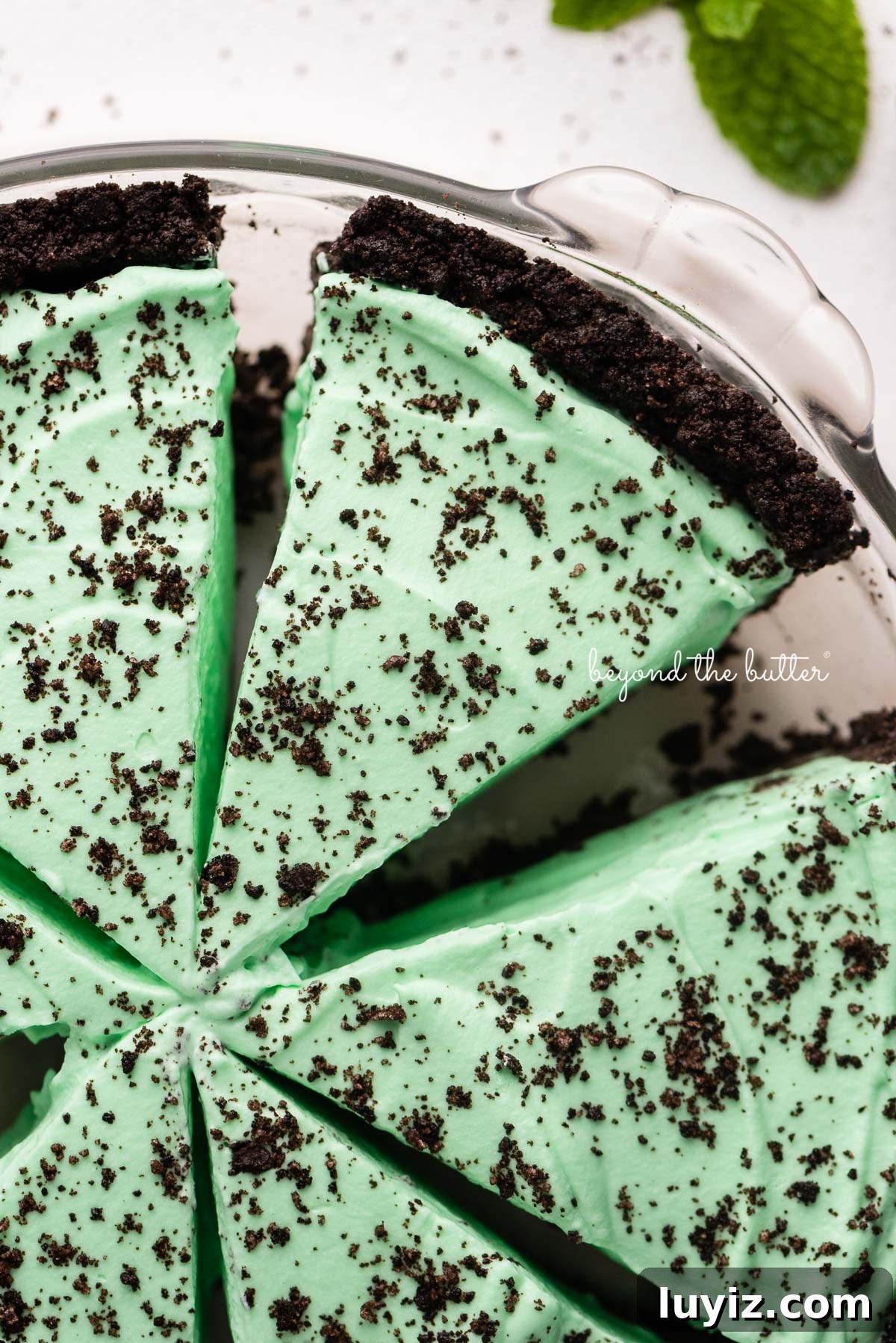 No-Bake Mint Chocolate Pie Recipe — Cool Mint Chocolate Delight 2 Slices of no bake mint chocolate pie in a glass pie plate on white background | © Beyond the Butter®