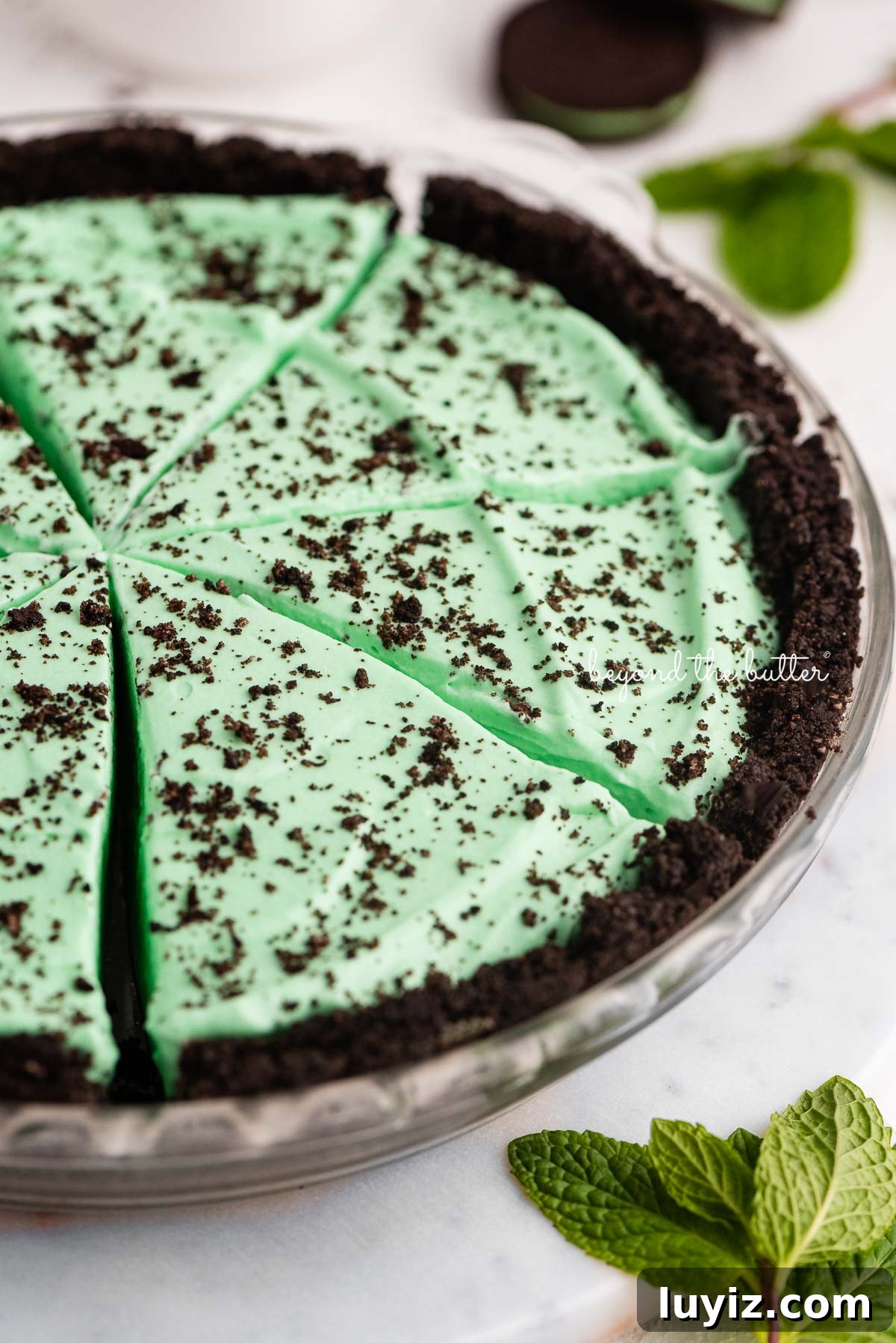 No-Bake Mint Chocolate Pie Recipe — Cool Mint Chocolate Delight 5 No bake mint chocolate pie sliced in a glass pie plate on a white background | © Beyond the Butter®