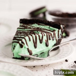 No-Bake Mint Chocolate Pie Recipe — Cool Mint Chocolate Delight 10 Dessert plates with slices of no bake mint chocolate pie with chocolate syrup drizzled over the top.
