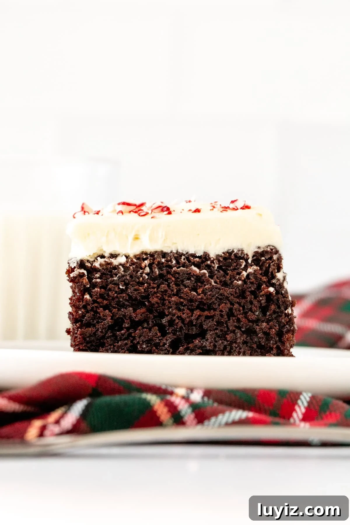 Peppermint Bark Layer Cake with Chocolate Ganache 2 Slice of peppermint bark cake