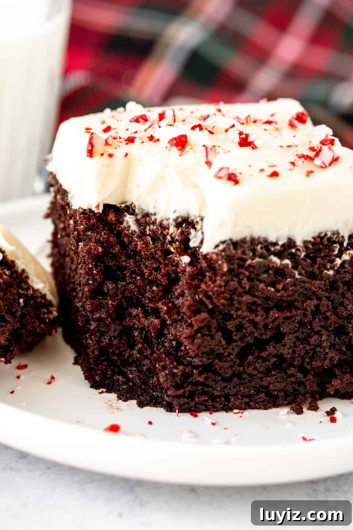 Peppermint Bark Layer Cake with Chocolate Ganache 3 Slice of chocolate cake with white chocolate peppermint frosting and crushed candy canes on top