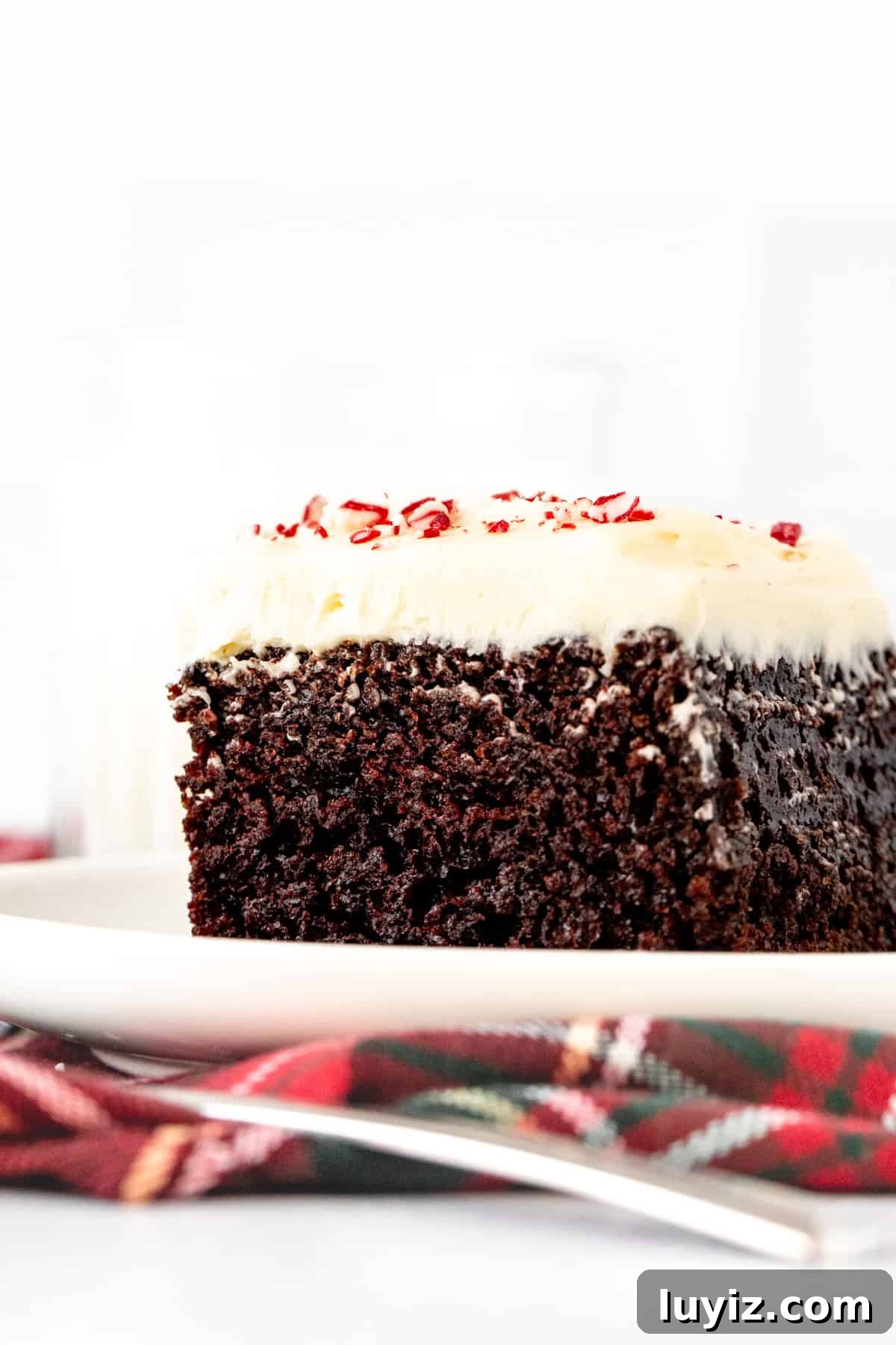 Peppermint Bark Layer Cake with Chocolate Ganache 5 Slice of chocolate cake with white chocolate peppermint frosting and crushed candy canes on top