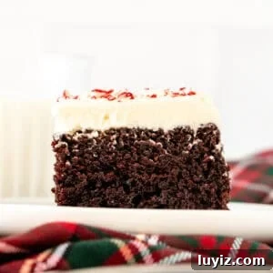 Peppermint Bark Layer Cake with Chocolate Ganache 6 Slice of peppermint bark cake