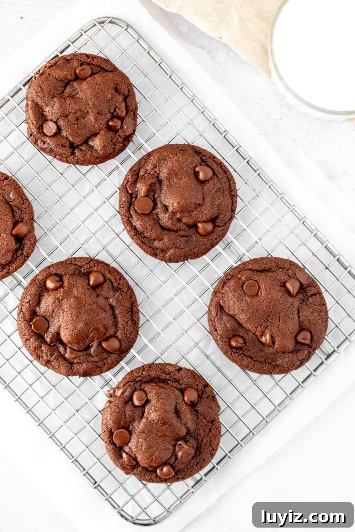 Double Chocolate Cookies for Two: Small-Batch, Ultra-Fudgy Recipe 4 cooling rack of chocolate cookies