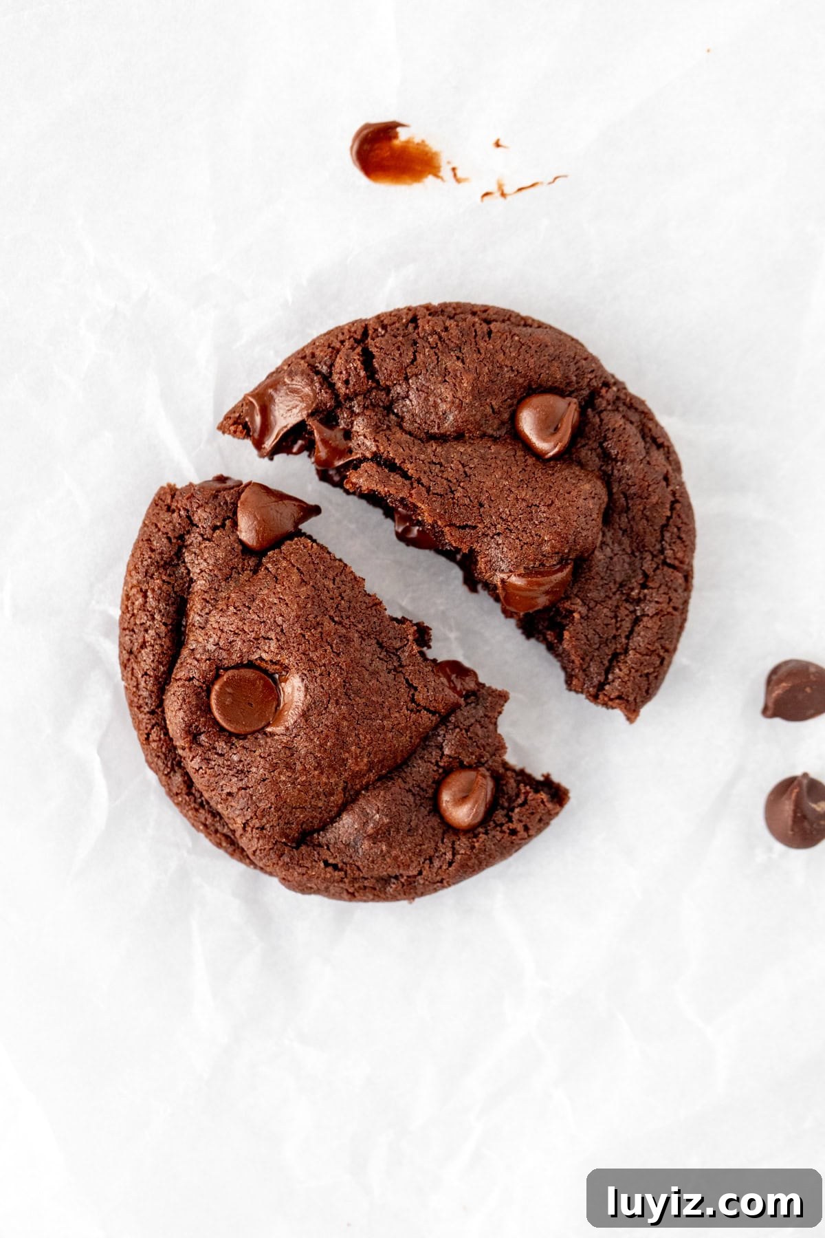 Double Chocolate Cookies for Two: Small-Batch, Ultra-Fudgy Recipe 6 double chocolate cookie, made from small batch recipe, broken in half