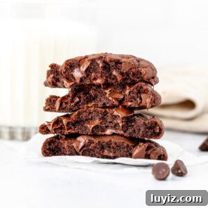 Double Chocolate Cookies for Two: Small-Batch, Ultra-Fudgy Recipe 7 Small batch chocolate cookies, broken in half and stacked on top of one another