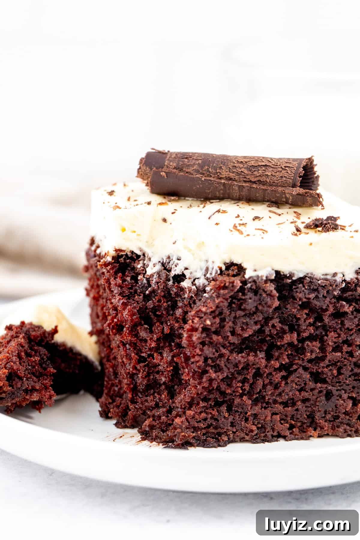 Decadent Chocolate Cake with Silky White Chocolate Frosting 5 fudgy chocolate cake with white chocolate buttercream and a chocolate curl on top