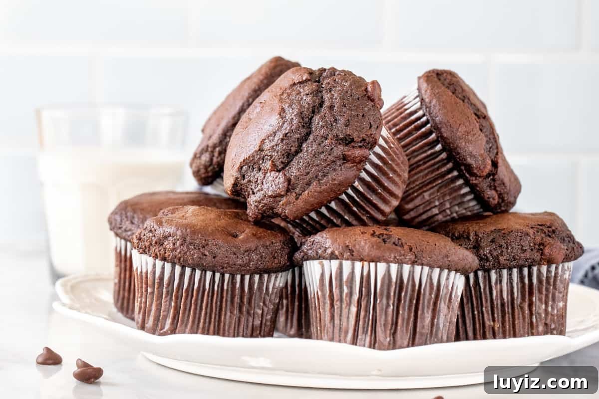 Decadent Double Chocolate Muffins: Moist, Rich Recipe 6 Plate of double chocolate muffins.