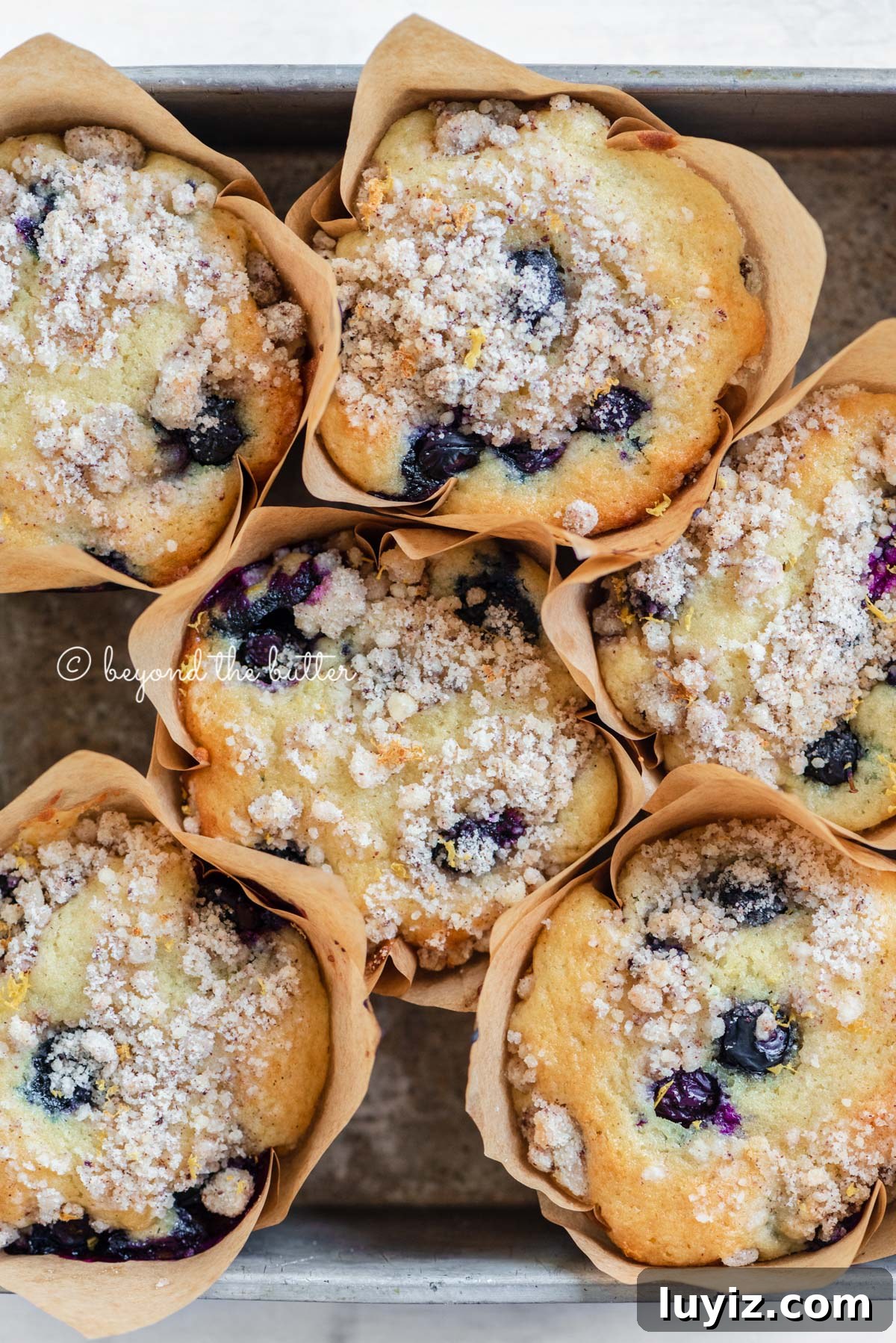 Bakery-Style Lemon Blueberry Streusel Muffins Recipe 2 Baking tray filled with bakery style lemon blueberry muffins garnished with slices of lemons and blueberries | All images © Beyond the Butter®