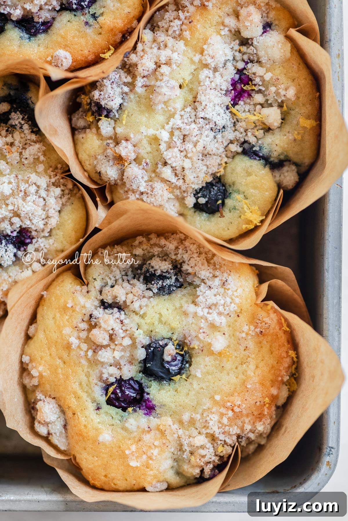 Bakery-Style Lemon Blueberry Streusel Muffins Recipe 11 Baking tray filled with bakery style lemon blueberry muffins garnished with slices of lemons and blueberries | All images © Beyond the Butter®