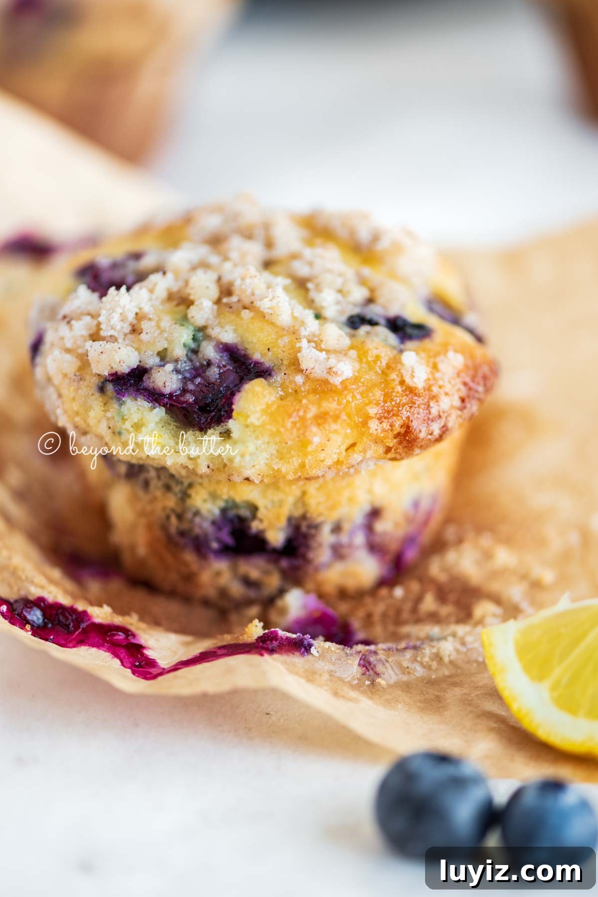 Bakery-Style Lemon Blueberry Streusel Muffins Recipe 12 Unwrapped lemon blueberry streusel muffin with lemon wedges and blueberries around it | All images © Beyond the Butter®