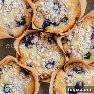 Bakery-Style Lemon Blueberry Streusel Muffins Recipe 13 Baking tray filled with bakery style lemon blueberry muffins garnished with slices of lemons and blueberries.