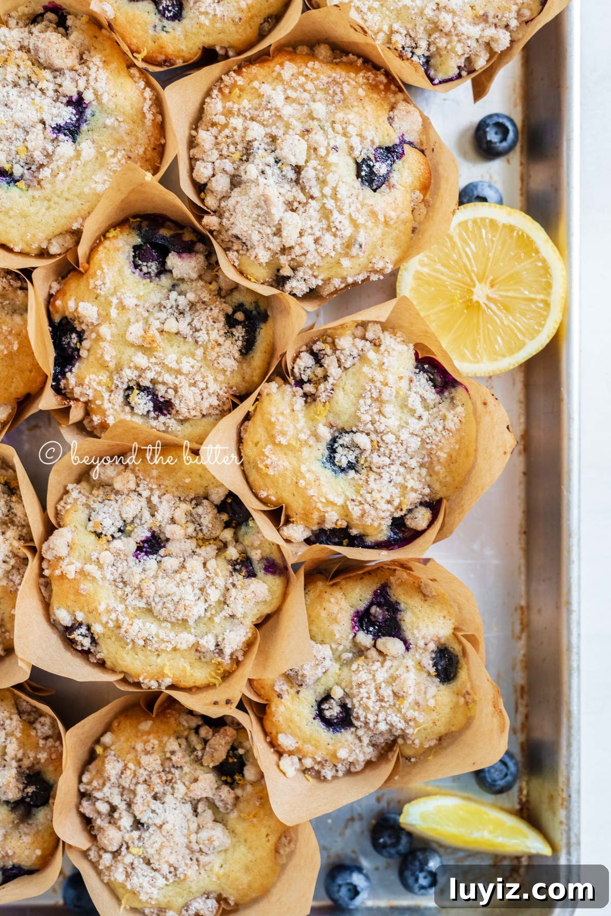 Bakery-Style Lemon Blueberry Streusel Muffins Recipe 5 Baking tray filled with bakery style lemon blueberry muffins garnished with slices of lemons and blueberries | All images © Beyond the Butter®