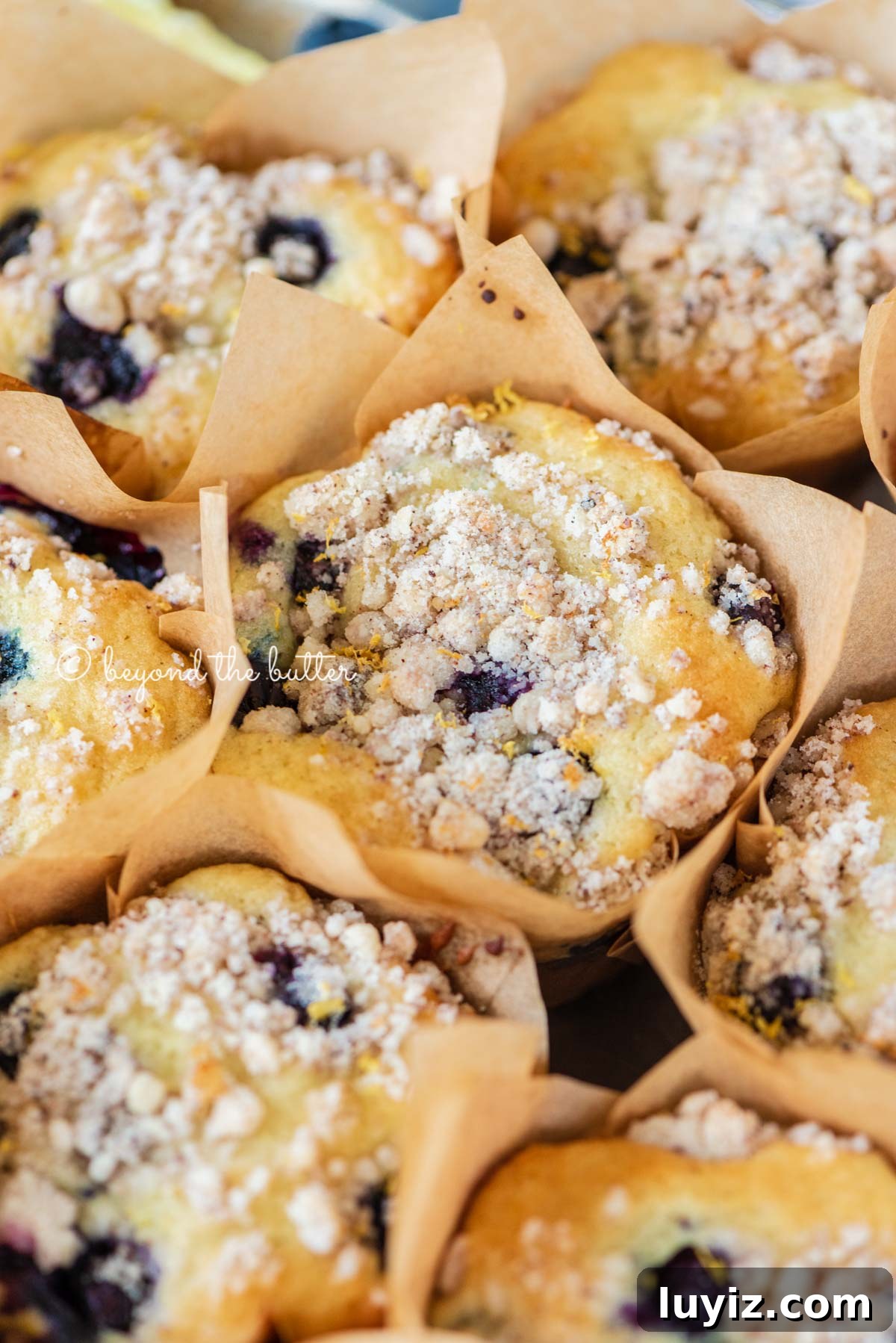 Bakery-Style Lemon Blueberry Streusel Muffins Recipe 7 Baking tray filled with bakery style lemon blueberry muffins garnished with slices of lemons and blueberries | All images © Beyond the Butter®