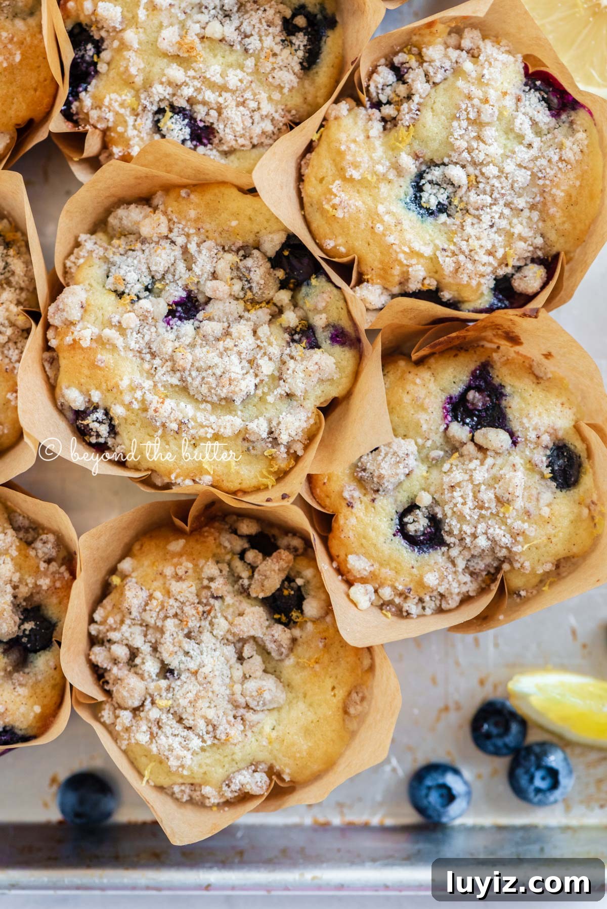 Bakery-Style Lemon Blueberry Streusel Muffins Recipe 8 Baking tray filled with bakery style lemon blueberry muffins garnished with slices of lemons and blueberries | All images © Beyond the Butter®