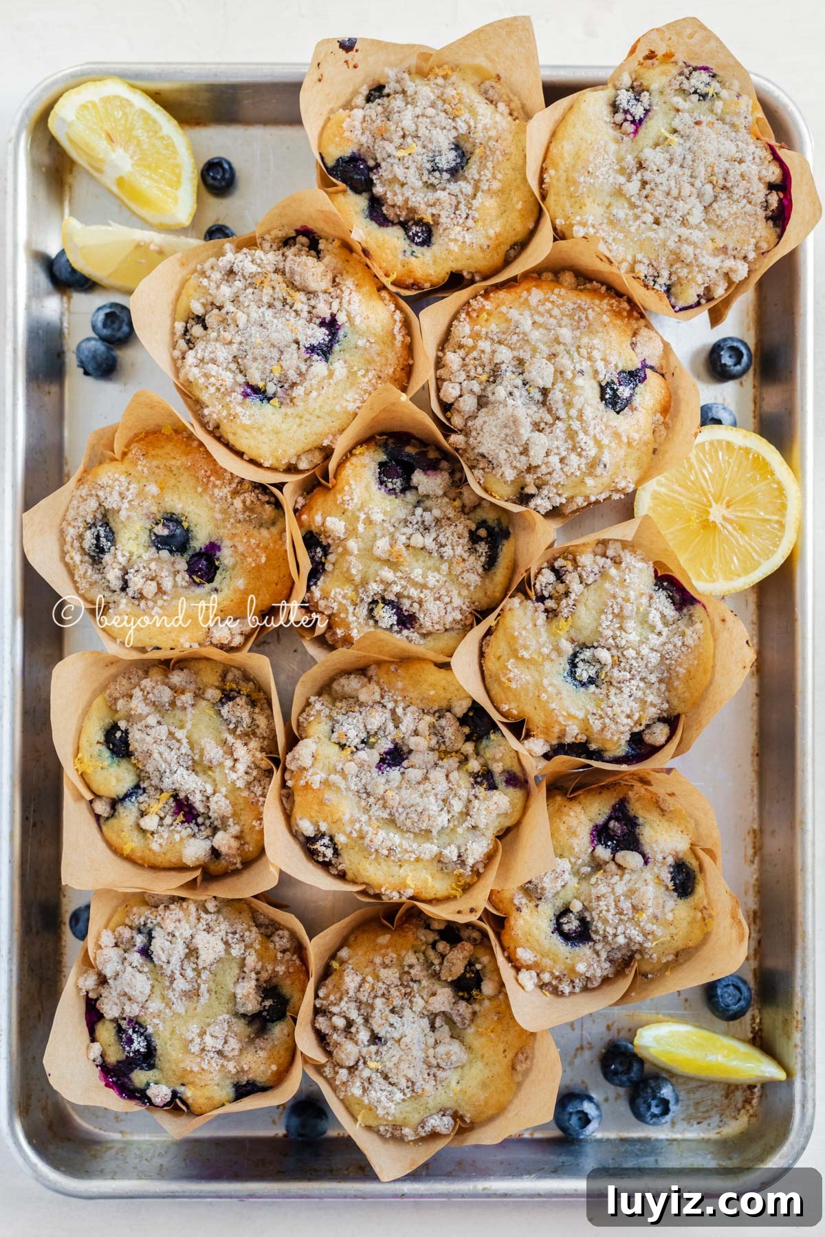 Bakery-Style Lemon Blueberry Streusel Muffins Recipe 10 Baking tray filled with bakery style lemon blueberry muffins garnished with slices of lemons and blueberries | All images © Beyond the Butter®