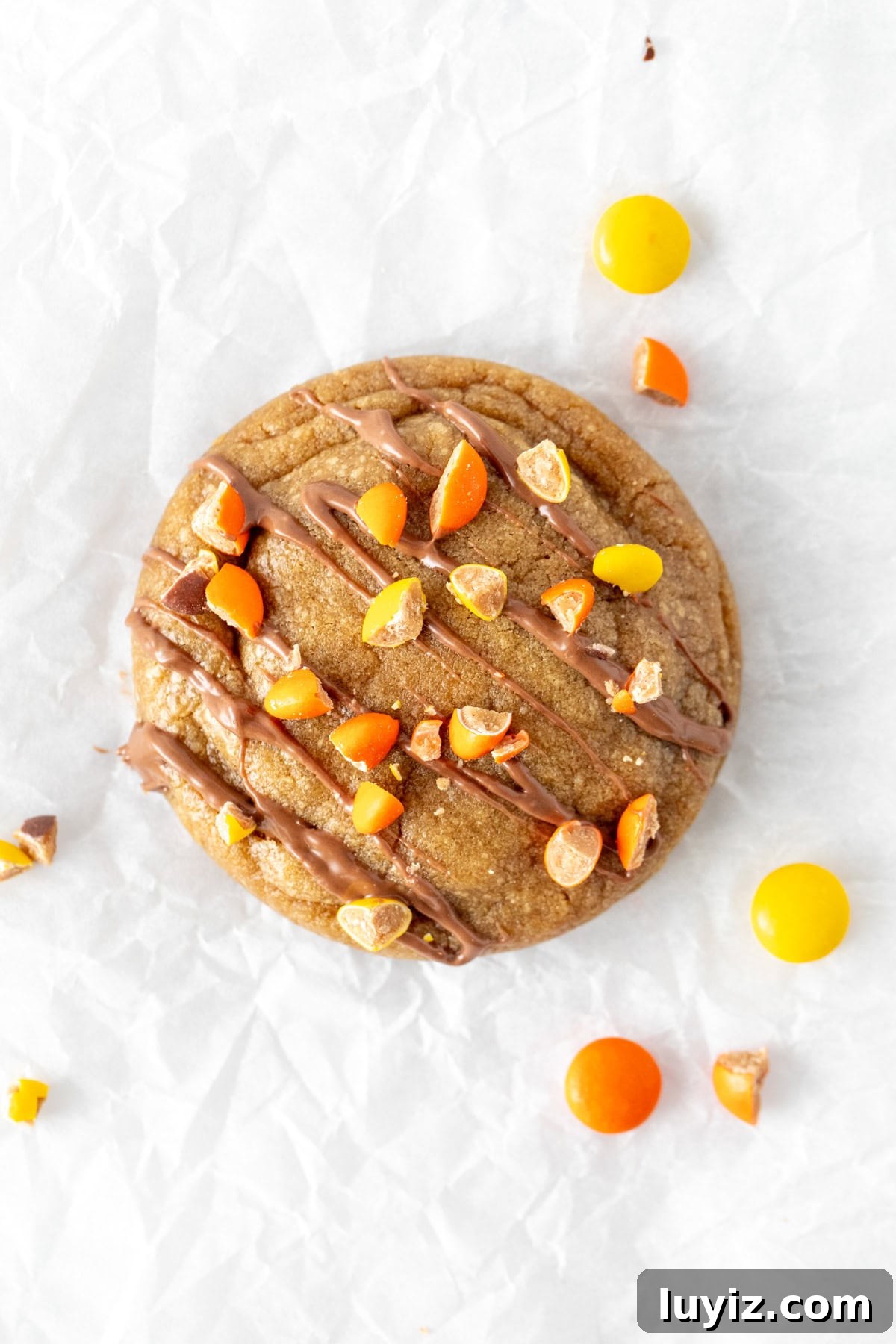 Peanut Butter Cookies Stuffed with Reese’s Cups 3 Peanut butter cookie with milk chocolate drizzle and crushed Reese's Pieces on top