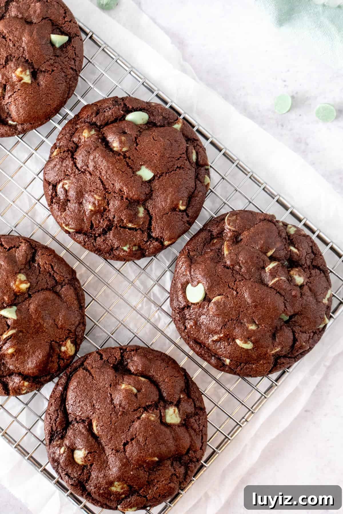 Mint Chip Chocolate Cookie Recipe for Rich, Minty Chocolate Flavor 3 img 24053 2