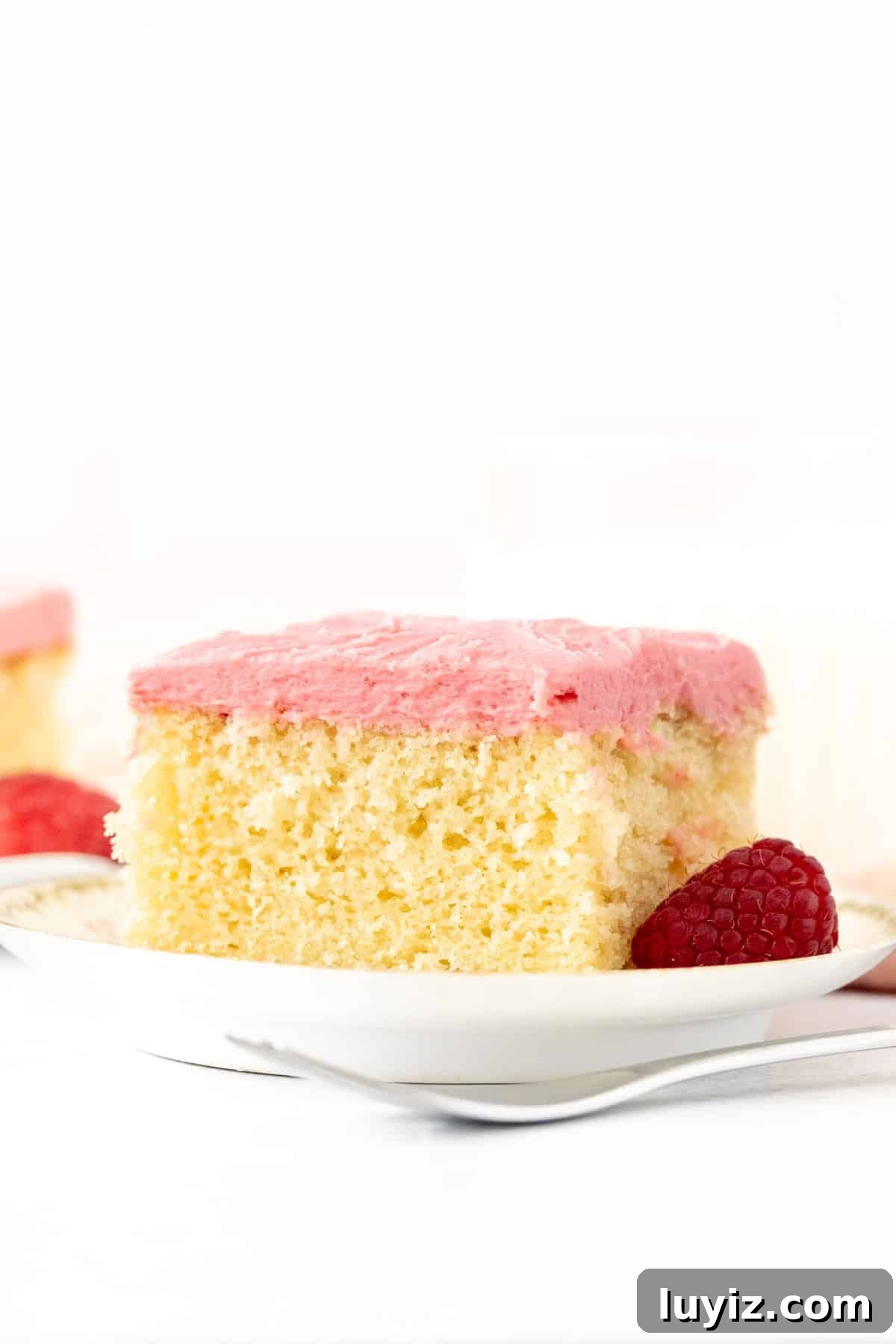 Almond Cake with Raspberry Frosting Recipe for Moist Layer Cake 2 Slice of almond cake with raspberry frosting