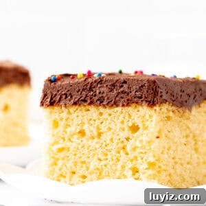 Moist Yellow Sheet Cake with Decadent Chocolate Frosting 11 Slice of yellow sheet cake with chocolate frosting