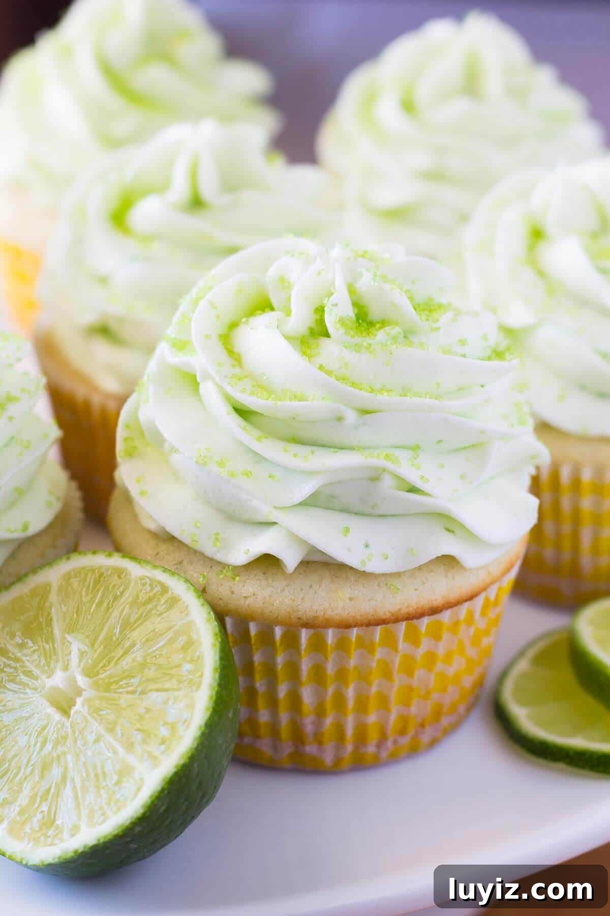 Zesty Lemon-Lime Cupcakes with Tangy Glaze 2 These Lemon Lime Cupcakes are perfect for summer. Fresh citrus taste, ridiculously soft cupcake crumb & topped with perfectly smooth lime buttercream!