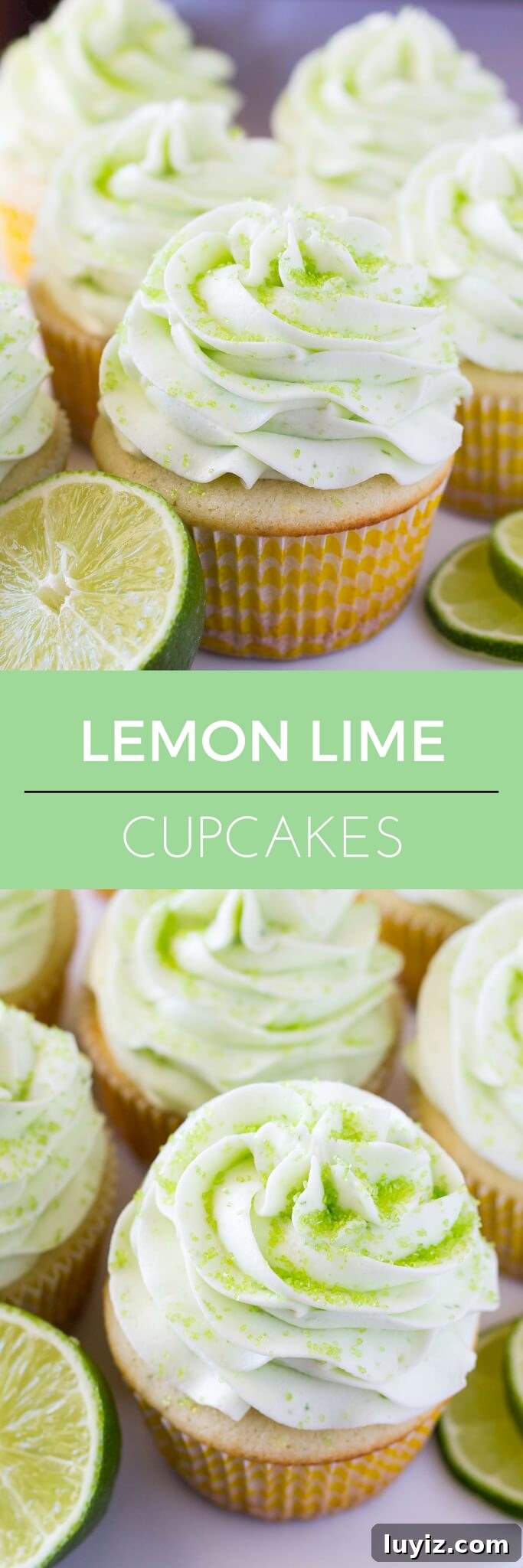 Zesty Lemon-Lime Cupcakes with Tangy Glaze 5 These Lemon Lime Cupcakes are perfect for summer. Fresh citrus taste, ridiculously soft cupcake crumb & topped with perfectly smooth lime buttercream!