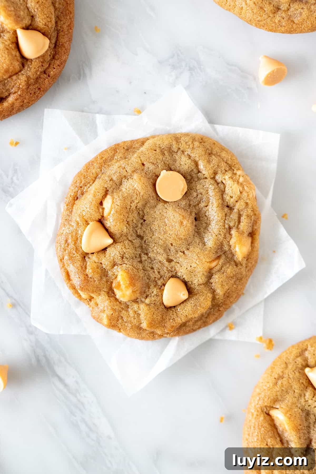 Chewy Butterscotch Cookie Recipe for Perfect Home Baking 5 Cookie with butterscotch chips, from above.