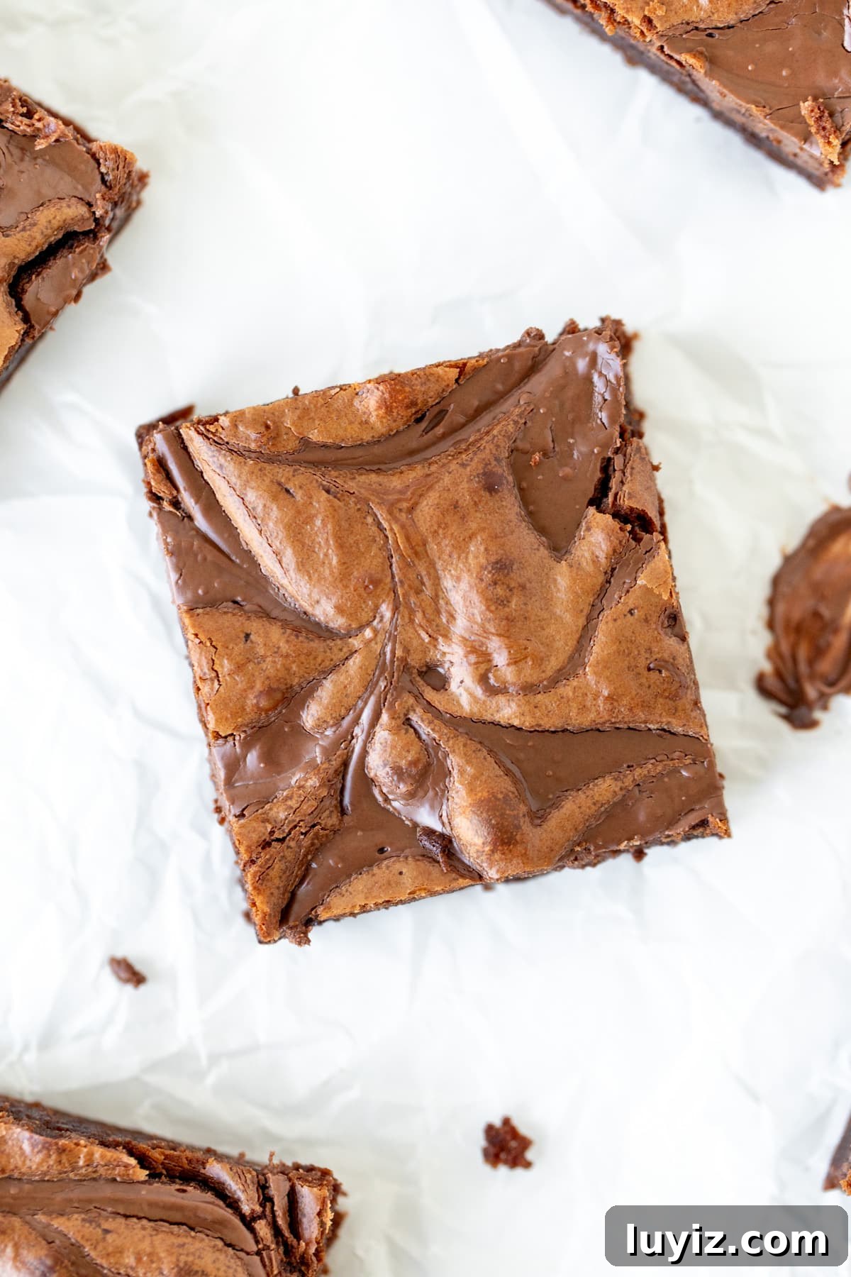 Decadent Nutella Brownies Recipe with Gooey Chocolate Swirls 3 Swirled Nutella brownie, from above