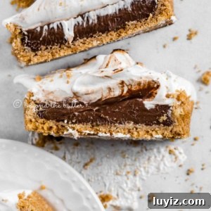 Decadent Chocolate and Toasted Marshmallow Tart Recipe 7 Overhead image of chocolate marshmallow tart with 2 slices cut and laid on their side.