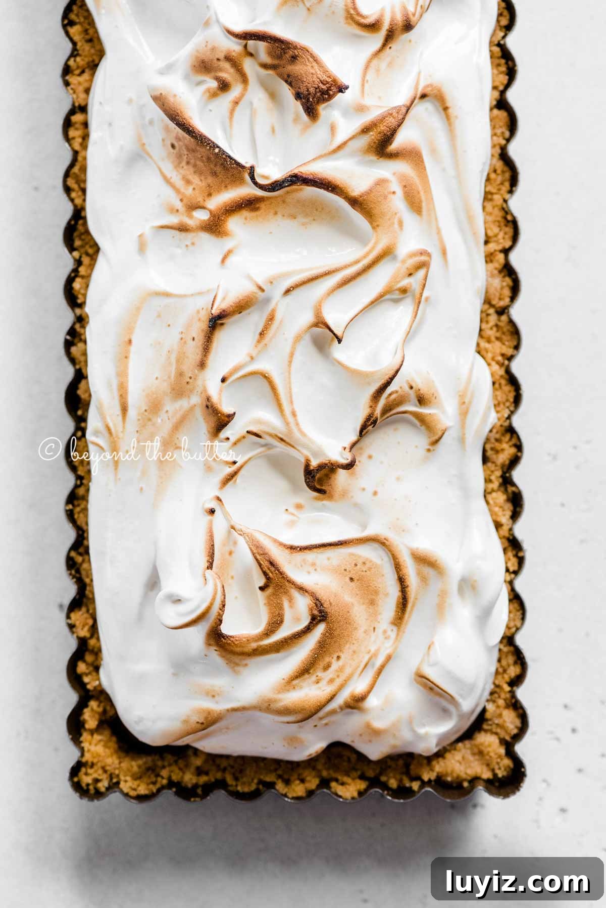 Decadent Chocolate and Toasted Marshmallow Tart Recipe 3 Overhead image of chocolate marshmallow tart | All Images © Beyond the BUtter™
