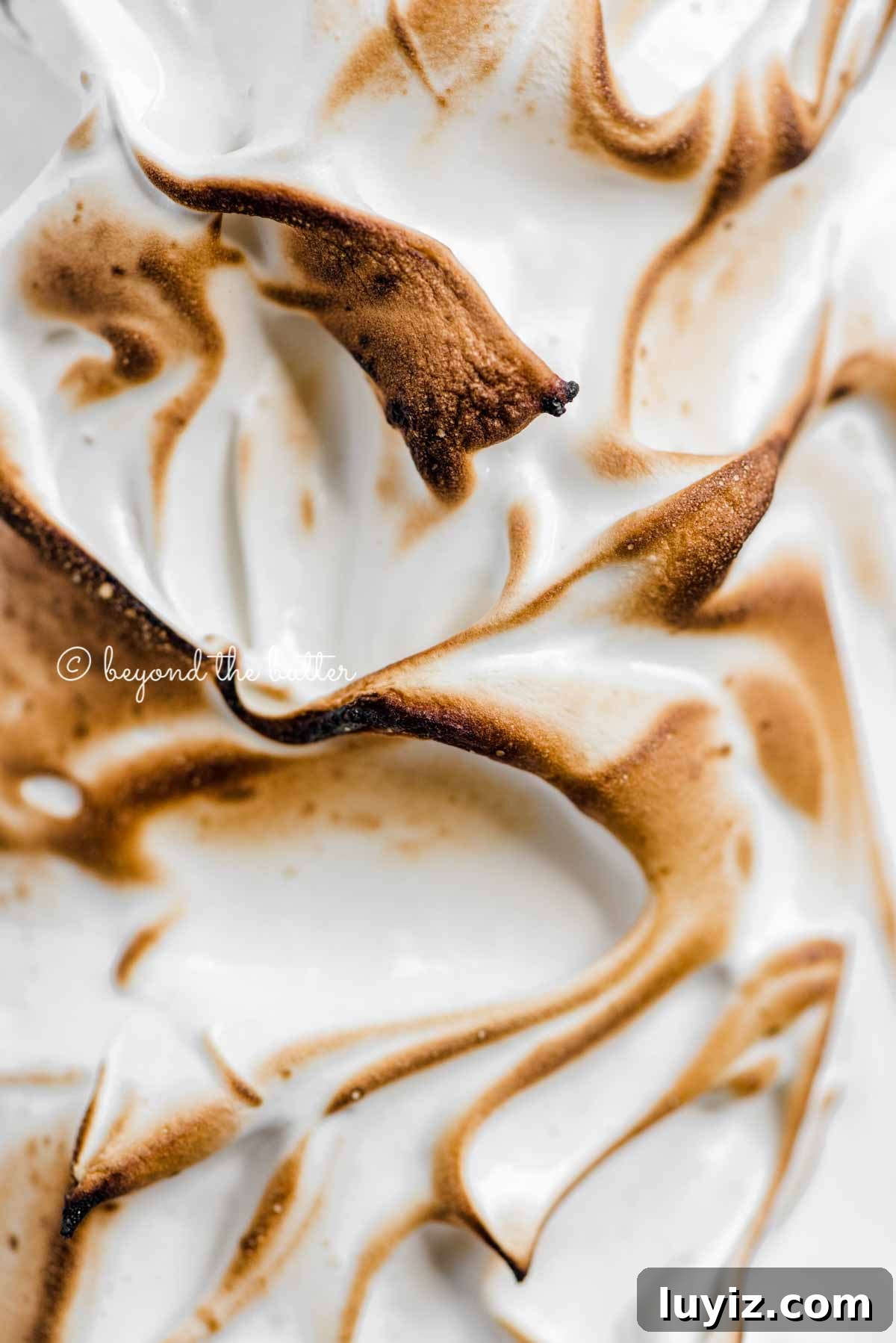 Decadent Chocolate and Toasted Marshmallow Tart Recipe 4 Close up image of toasted marshmallow meringue topping | All Images © Beyond the Butter™