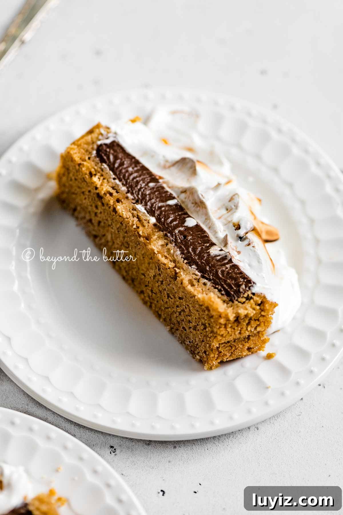 Decadent Chocolate and Toasted Marshmallow Tart Recipe 5 Images of one slice of chocolate marshmallow tart | All Images © Beyond the Butter™