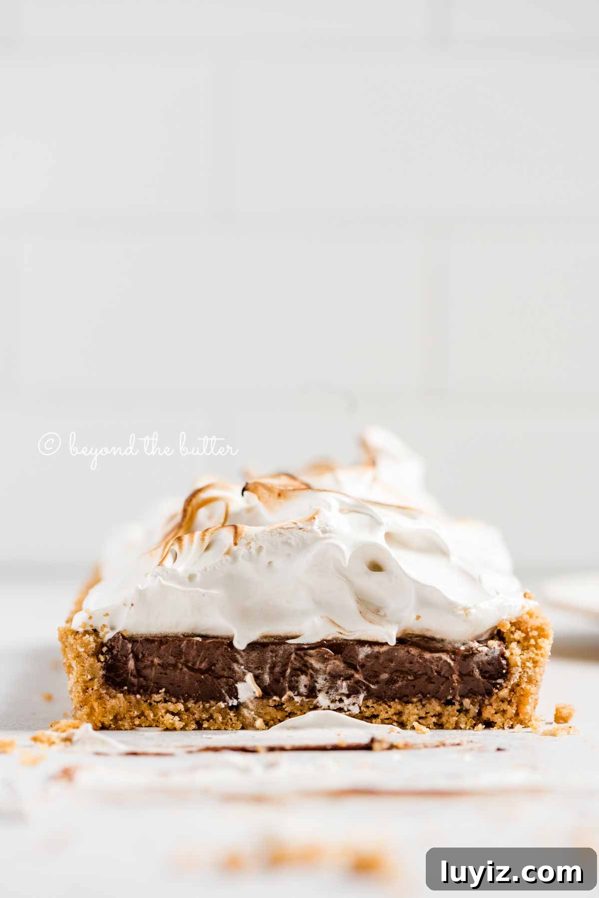 Decadent Chocolate and Toasted Marshmallow Tart Recipe 6 Profile view of sliced Chocolate Marshmallow Tart | All Images © Beyond the Butter™