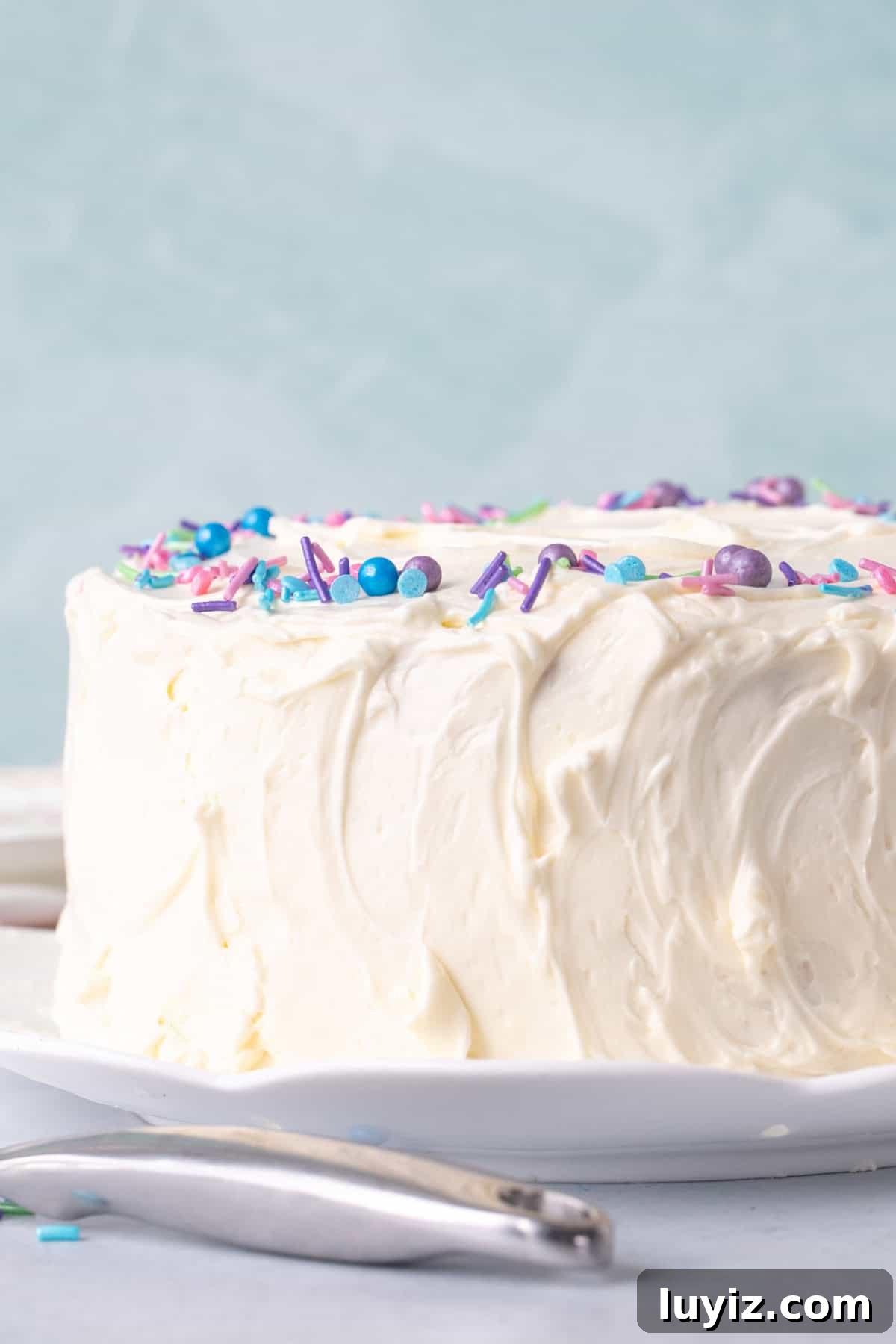 Classic White Cake Recipe: Moist, Fluffy Celebration Cake 4 8-inch round white cake decorated with vanilla frosting and sprinkles