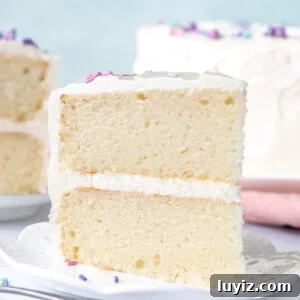 Classic White Cake Recipe: Moist, Fluffy Celebration Cake 6 Slice of white cake with vanilla frosting