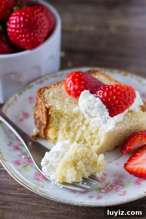 Classic Vanilla Pound Cake Recipe for Moist, Simple Slices 5 Seriously tender, deliciously buttery, perfectly moist Vanilla Pound Cake. Serve it with fresh fruit and whipped cream for dessert, or have a slice with your morning coffee. Learn the secrets to making this classic cake.
