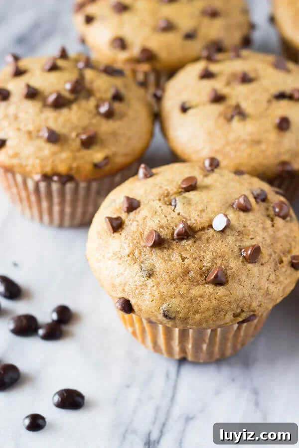 Cappuccino Chocolate Chip Muffins Recipe for Coffee Lovers 2 Cappuccino Chocolate Chip Muffins - fluffy, moist, filled with melty chocolate chips