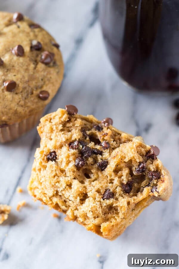 Cappuccino Chocolate Chip Muffins Recipe for Coffee Lovers 3 Cappuccino Chocolate Chip Muffins close-up - soft and fluffy