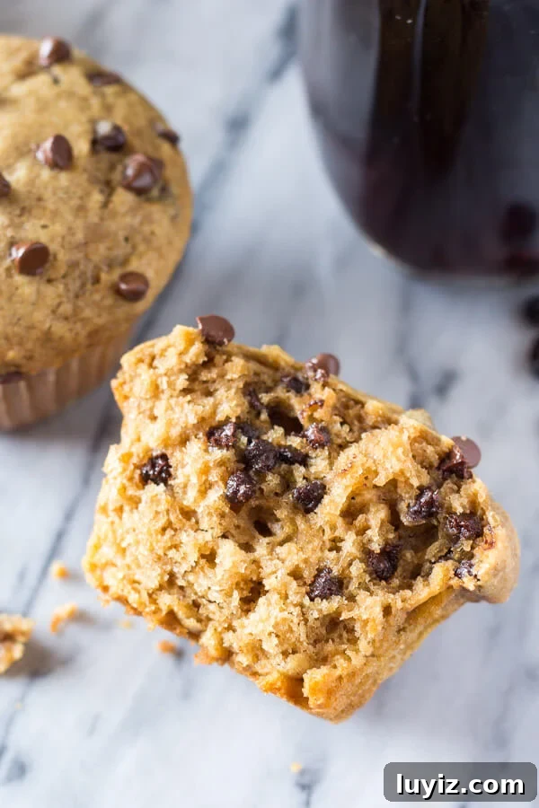 Cappuccino Chocolate Chip Muffins Recipe for Coffee Lovers 4 Tray of Cappuccino Chocolate Chip Muffins