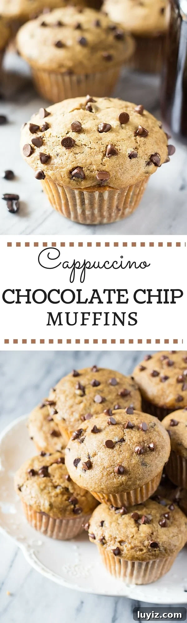 Cappuccino Chocolate Chip Muffins Recipe for Coffee Lovers 5 Cappuccino Chocolate Chip Muffins cooling