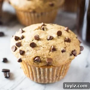 Cappuccino Chocolate Chip Muffins Recipe for Coffee Lovers 6 Cappuccino Chocolate Chip Muffins