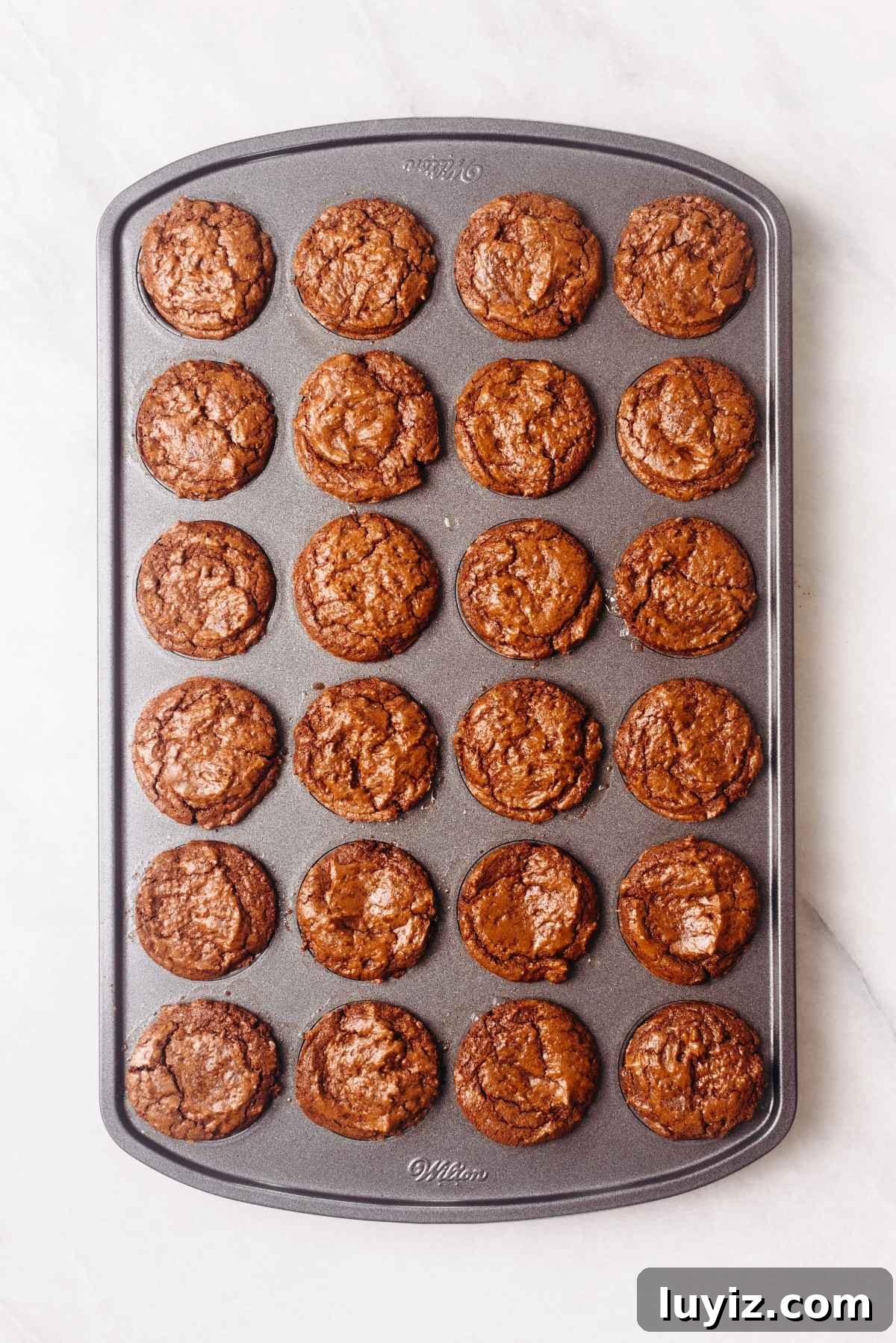 Fudgy Brownie Bites Recipe — Moist Mini Chocolate Brownies 14 Twenty four baked brownie bites in a non stick coated metal mini muffin tin on a white textured background.