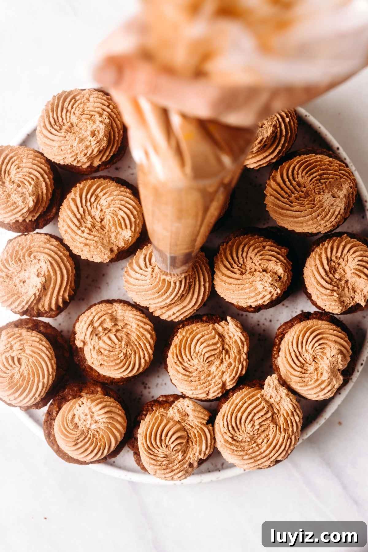 Fudgy Brownie Bites Recipe — Moist Mini Chocolate Brownies 18 Piping chocolate mascarpone whipped cream onto brownie bites.