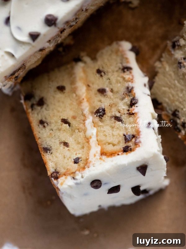 Banana Chocolate Chip Snack Cake Recipe for Quick Treats 7 Slice of 2 layer chocolate chip cake on it's side on a brown paper background.