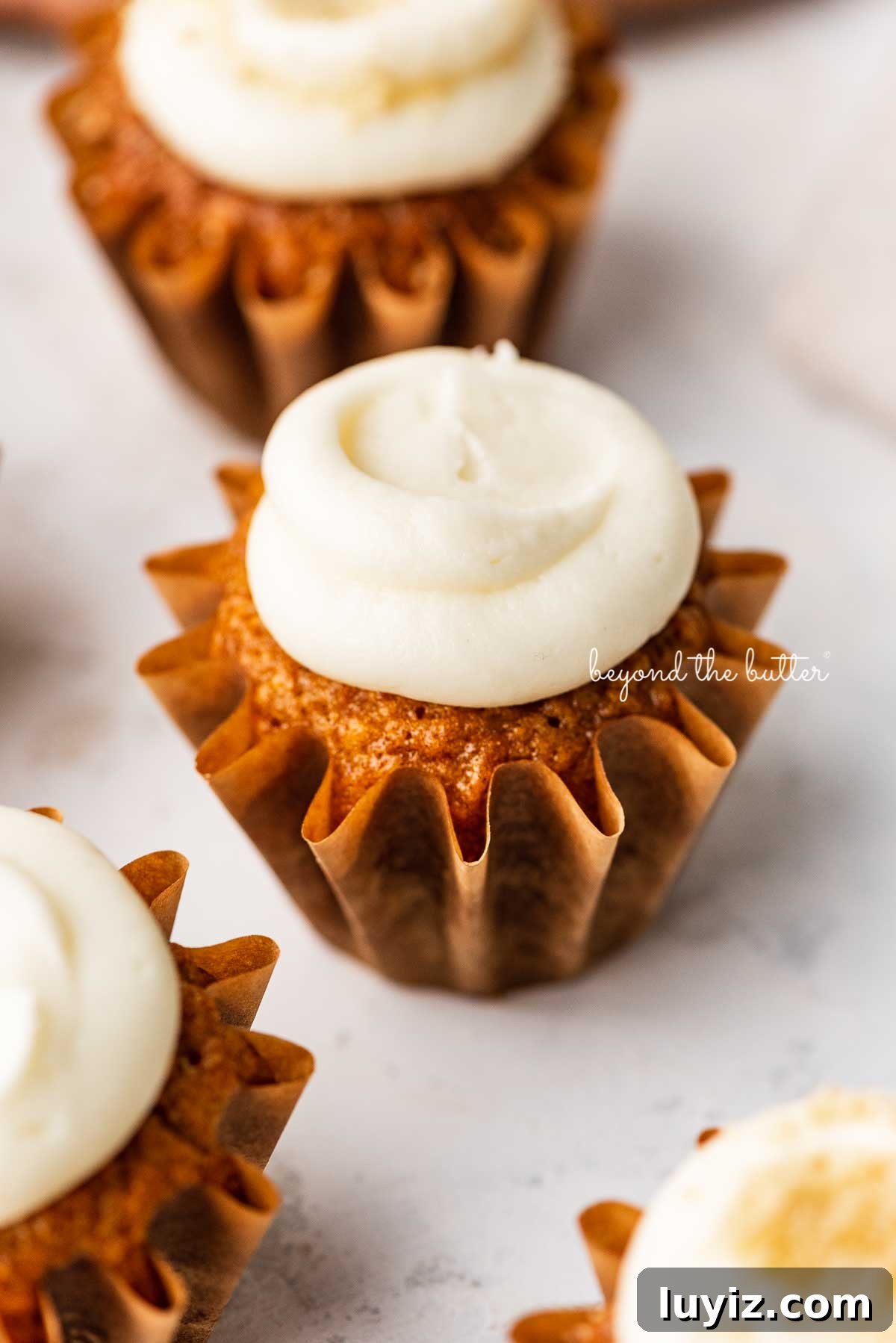 Ultra-Moist Carrot Cake Cupcakes with Cream Cheese Frosting 2 Carrot cake cupcakes topped with cream cheese frosting on a white background | © Beyond the Butter®